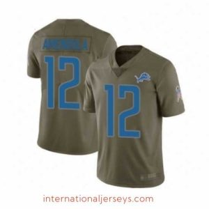 Top notch Detroit Lions 12 Danny Amendola Limited Olive 2017 Salute to Service Football Jersey